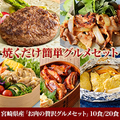 宮崎県産「お肉の贅沢グルメセット」10食/20食