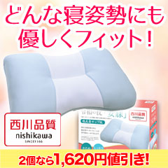 【ラジオ売れ筋値引き】西川低反発枕 1個/2個