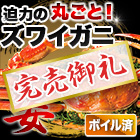 【完売】ボイルズワイガニ姿まるごと 総重量:約2.4kg(5尾)/総重量:約3.6kg(7～9尾)