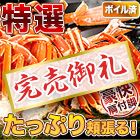 【完売】特選ボイルズワイガニ肩付き脚 総重量:約1.2kg(正味1kg)