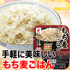 美味しい「国産もち麦パックごはん」 18パック/36パック