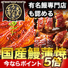 大五通商「国産うなぎ蒲焼セット1kg」