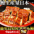 鹿児島県産刻み鰻 5袋/15(10+5)袋