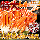 特大特選ボイルズワイガニ肩付き脚 総重量:約5.5kg(正味:5kg)
