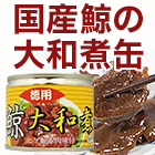 希少「国産鯨の大和煮缶詰」10缶/20缶