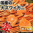 国産ボイル大ズワイ姿 総重量:約4.5kg(正味4kg)