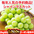 福岡八女産「朝もぎシャインマスカット」 1kg(3房)/2kg(6房)