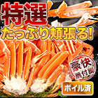 特選ボイルズワイガニ肩付き脚 総重量:約1.8kg(正味:1.5kg)/総重量:約3.6kg(正味:3kg)/総重量:約5.5kg(正味:5kg)