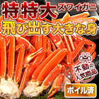 特特大特選ボイルズワイガニ肩付き脚 総重量:約1.8kg(正味:1.5kg)/総重量:約3.6kg(正味:3kg)/総重量:約5.5kg(正味:5kg)