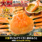 大型ボイルズワイガニ姿まるごと 総重量:約3.6kg(6尾 正味3kg)
