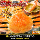 特大ボイルズワイガニ姿まつり 総重量:約3.6kg(5尾 正味3kg)