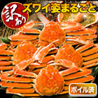 訳ありボイルズワイガニ姿まつり 総重量:約5.5kg(約7尾～約12尾 正味5kg)
