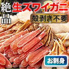 絶品！生ズワイガニ剥き身欲張りセット 総重量:約1.6kg(正味1.2kg)/総重量:約3.2kg(正味2.4kg)/総重量:約4.8kg(正味3.6kg)