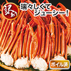 訳ありボイル紅ズワイガニ肩付脚 総重量:約4.8kg(正味4kg)