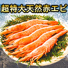 ｢超特大天然赤エビ｣ 1kg/2kg