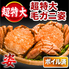特特大毛ガニ姿 総重量:約1.2kg(3尾正味1kg)/ 総重量:約2.4kg(2尾正味2kg)