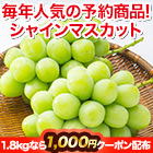 果物王国山梨の「大粒シャインマスカット」 900g/1.8kg