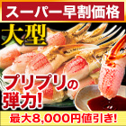 【スーパー早割価格】大型生ずわい爪肉剥き身 総重量:約1.5kg(正味1.2kg)/総重量:約3kg(正味2.4kg)