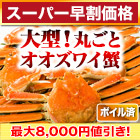 【スーパー早割価格】大型北海道産ボイルオオズワイガニ姿 総重量:約2.3kg(4尾 正味2kg)/総重量:約4.6kg(8尾 正味4kg)