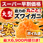 【スーパー早割価格】大型ボイルズワイガニ姿まるごと 総重量:約3.6kg(6尾 正味3kg)