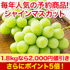 【値引き】果物王国山梨の「大粒シャインマスカット」 900g/1.8kg
