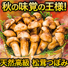 天然高級 松茸つぼみ 250g/500g