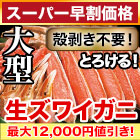 【スーパー早割価格】新鮮！大型お刺身用生ズワイガニ剥き身セット 総重量:約1.5kg(正味1.2kg)/総重量:約3kg(正味2.4kg)/総重量:約4.5kg(正味3.6kg)
