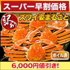 【スーパー早割価格】訳ありボイルズワイガニ姿まつり 総重量:約5.5kg(約7尾～約12尾 正味5kg)