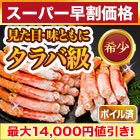 【スーパー早割価格】ゴールデンキングクラブ棒肉剥き身 総重量:約500g(正味:400g)/総重量:約1kg(正味:800g)/総重量:約2kg(正味:1.6kg)