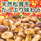 天然高級松茸不揃い　1kg/2kg