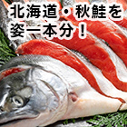 北海道産「新巻鮭一本(カット済)」1.5kg/3kg
