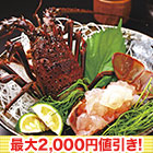 【セール限定価格】お徳用活〆伊勢海老 5尾/10尾