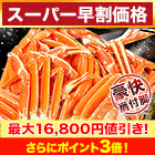 【スーパー早割価格】特選ボイルズワイガニ肩付き脚 総重量:約1.8kg(正味:1.5kg)/総重量:約3.6kg(正味:3kg)/総重量:約5.5kg(正味:5kg)