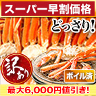 【スーパー早割価格】訳あり特選ボイルズワイガニ肩付き脚 総重量:約1.2kg(正味1kg)/総重量:約3.6kg(2.4kg+1.2kg)(正味3kg)