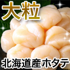 新鮮「大粒刺身用ホタテ」(2S) 1kg