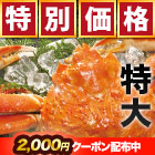 【早割価格】特大ボイルズワイガニ姿まつり 総重量:約3.6kg(5尾 正味3kg)