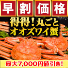 【早割価格】得得北海道産ボイルオオズワイガニ姿 総重量:約2.3kg(7尾 正味2kg)/総重量:約4.6kg(14尾 正味4kg)
