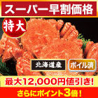 【スーパー早割価格】特大北海道産毛ガニ 総重量:約730g(1尾 正味670g前後)/総重量:約2.2kg(3尾 正味2kg前後)