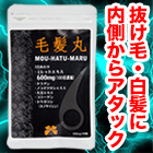 毛髪丸 1袋/3袋