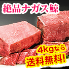 【送料無料】ナガス鯨 赤身肉 合計４kg／２ｋｇ