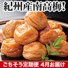 【豪華ごちそう定期便月々7,980円コース】紀州南高梅 はちみつ 3kg