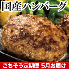 ★半額キャンペーン★【豪華ごちそう定期便月々7,980円コース】国産牛プレミアムハンバーグ15個