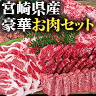 ★半額キャンペーン★【豪華ごちそう定期便月々9,980円コース】お肉の贅沢福袋