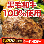 【クーポン使用でお得】黒毛和牛「100％生ハンバーグ」合計20個セット