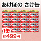ޥϥ˥֤ܤ Ѵ̵͡8/16