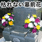 Ϥʤ 1