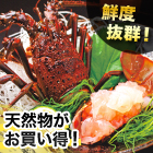お徳用活〆伊勢海老 5尾/10尾