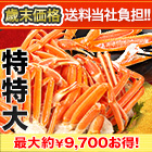 ں+ôܥ륺磻˸դ