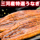 三河産「選べる鰻の蒲焼」2尾/4尾