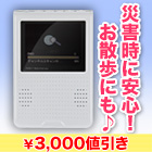 【ﾗｼﾞｵ売れ筋値引】｢マルチポケットテレビラジオ｣